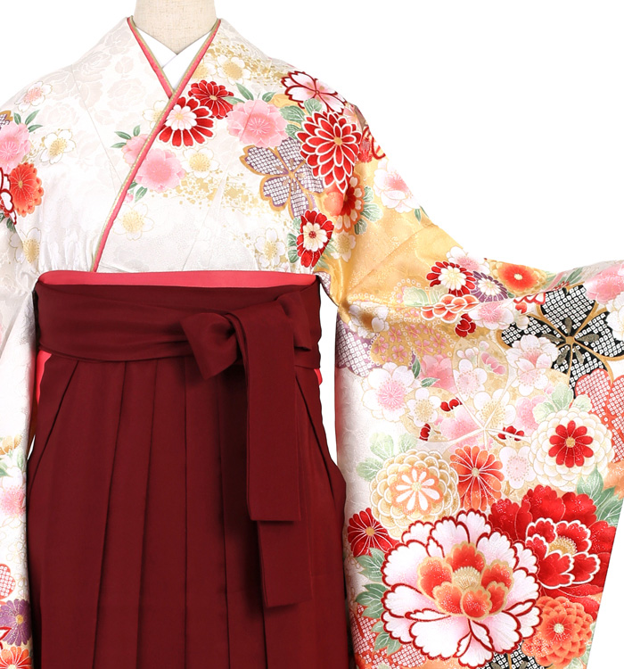 卒業袴 No.FE-1386-Lサイズ_01