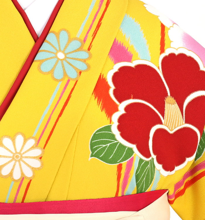 白石麻衣 卒業袴 No.FE-1398-Lサイズのレンタル｜きもの365