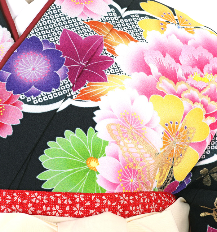 卒業袴 No.FE-1417-Lサイズ_03