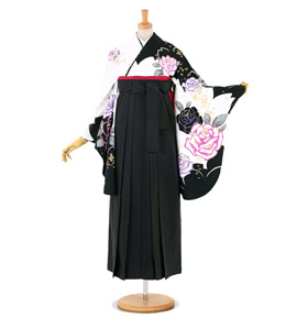 卒業袴 No.FE-1428-Lサイズ