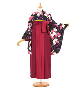 卒業袴 No.FE-1446-Lサイズ