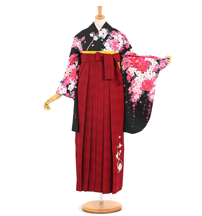 卒業袴 No.FE-1447-Lサイズの通販｜きもの365