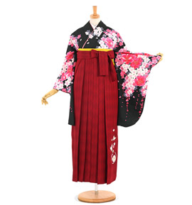 卒業袴 No.FE-1447-Lサイズ