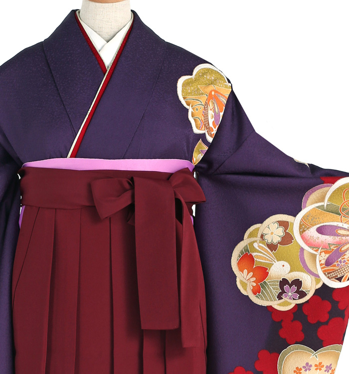 卒業袴 No.FE-1499-Sサイズのレンタル｜きもの365