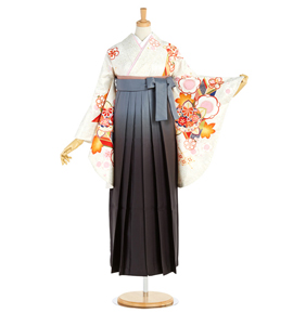 卒業袴 No.FE-1810-Lサイズ