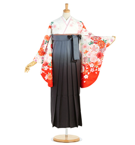 卒業袴 No.FE-1886-Lサイズ