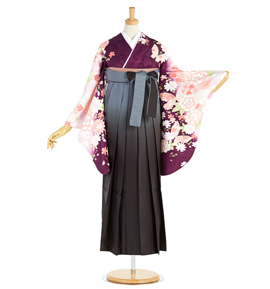 卒業袴 No.FE-1888-Lサイズ