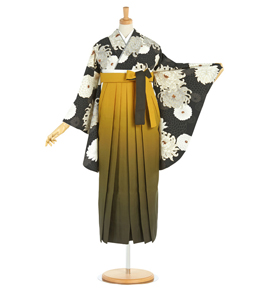 卒業袴 No.FE-1951-Sサイズ