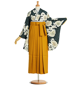卒業袴 No.FE-2358-Mサイズのレンタル｜きもの365