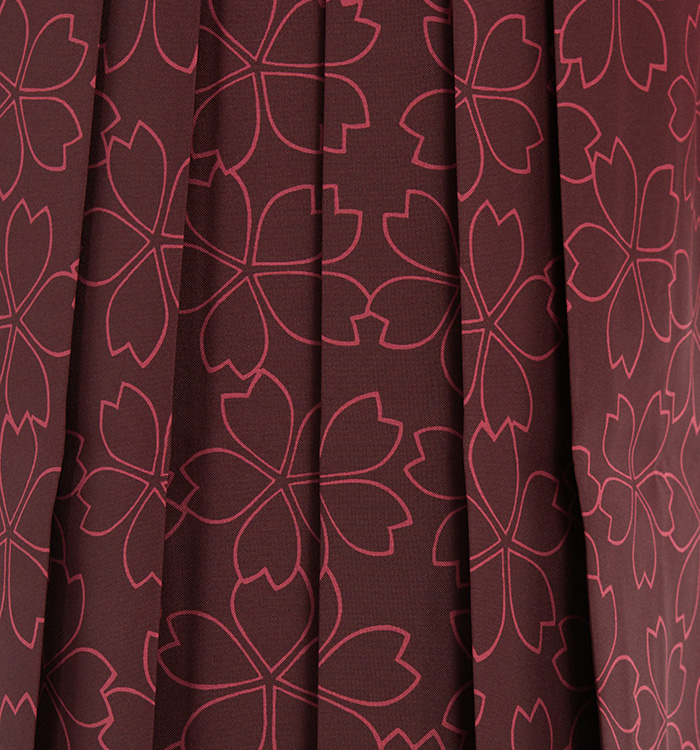 卒業袴 No.FE-2085-Lサイズ_04