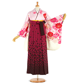 卒業袴 No.FE-2089-Lサイズ