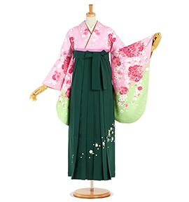 卒業袴 No.FE-2100-Lサイズ