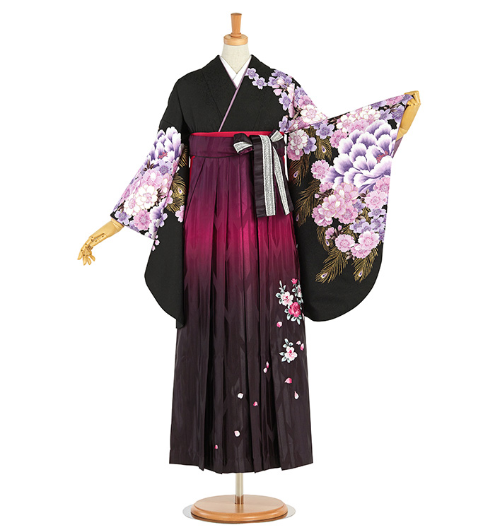 藤田ニコル 卒業袴 No.FE-2106-Lサイズのレンタル｜きもの365