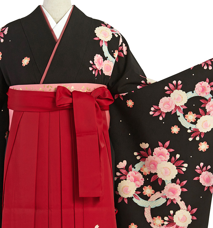 Kansai 卒業袴 No.FE-2225-2Lサイズのレンタル｜きもの365