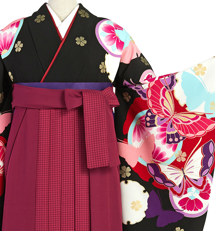 卒業袴 No.FE-2235-Lサイズ_01