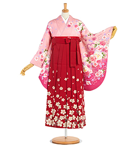 an・an 卒業袴 No.FE-2244-Mサイズ