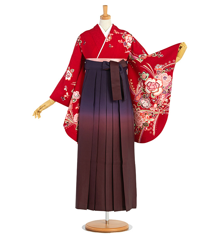 卒業袴 No.FE-2246-Lサイズ