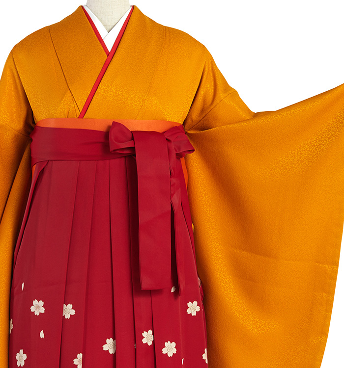 卒業袴 No.FE-2265-Sサイズの通販｜きもの365