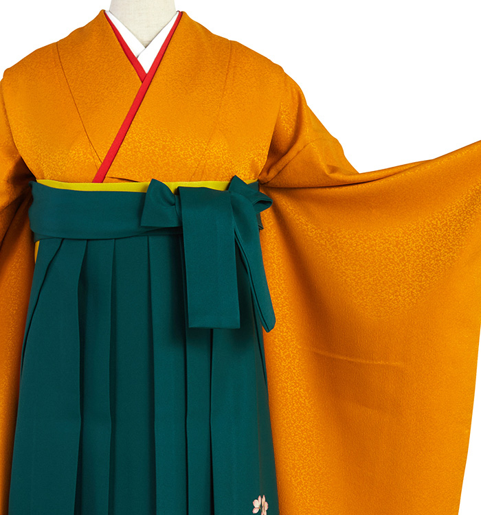 卒業袴 No.FE-2266-Mサイズの通販｜きもの365