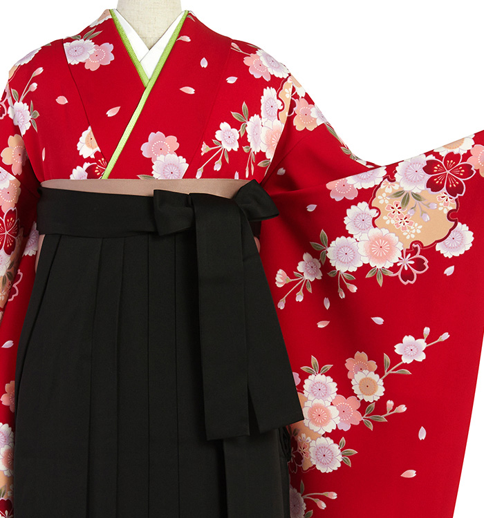 卒業袴 No.FE-2303-Lサイズ_01