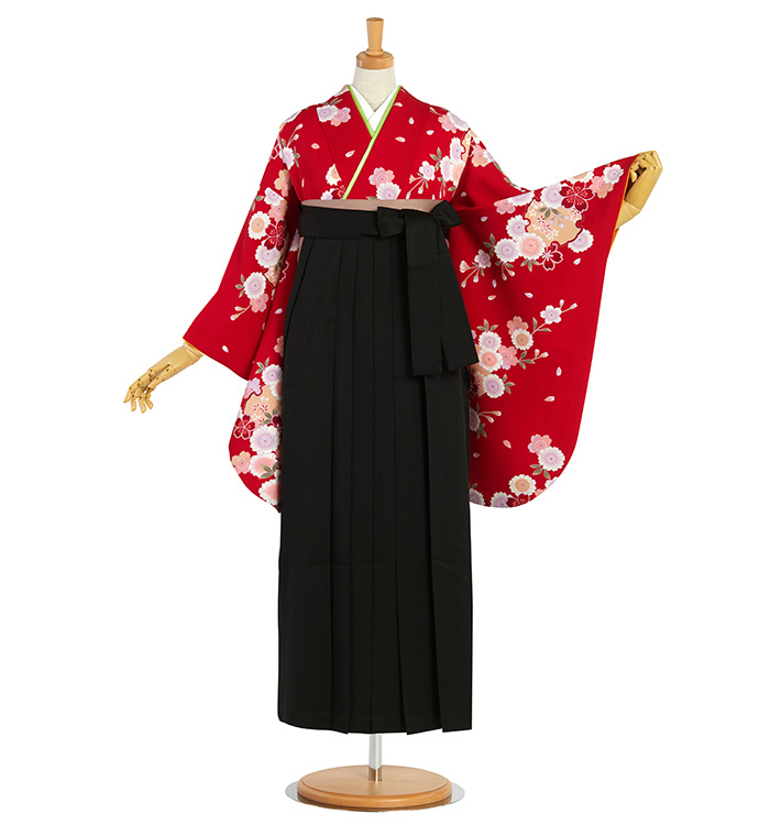 卒業袴 No.FE-2303-Lサイズ