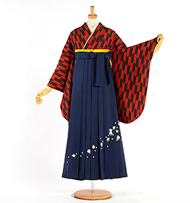 卒業袴 No.FE-2414-Lサイズ