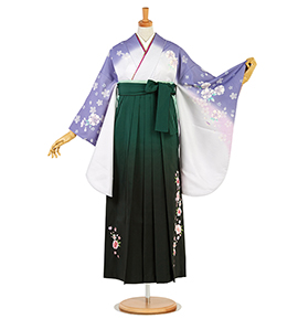 卒業袴 No.FE-2443-Lサイズ