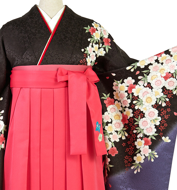 卒業袴 No.FE-2454-Sサイズ_01