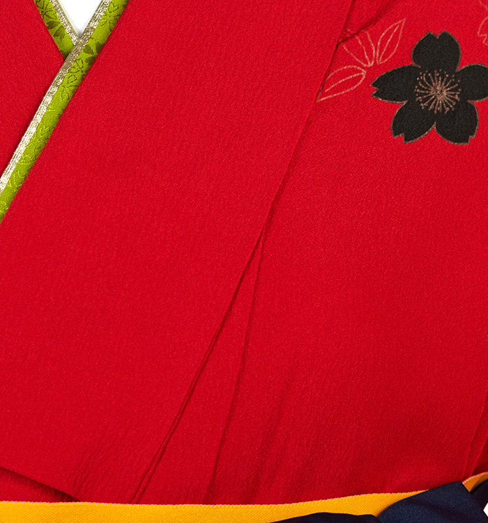 卒業袴 No.FE-2456-Sサイズ_03