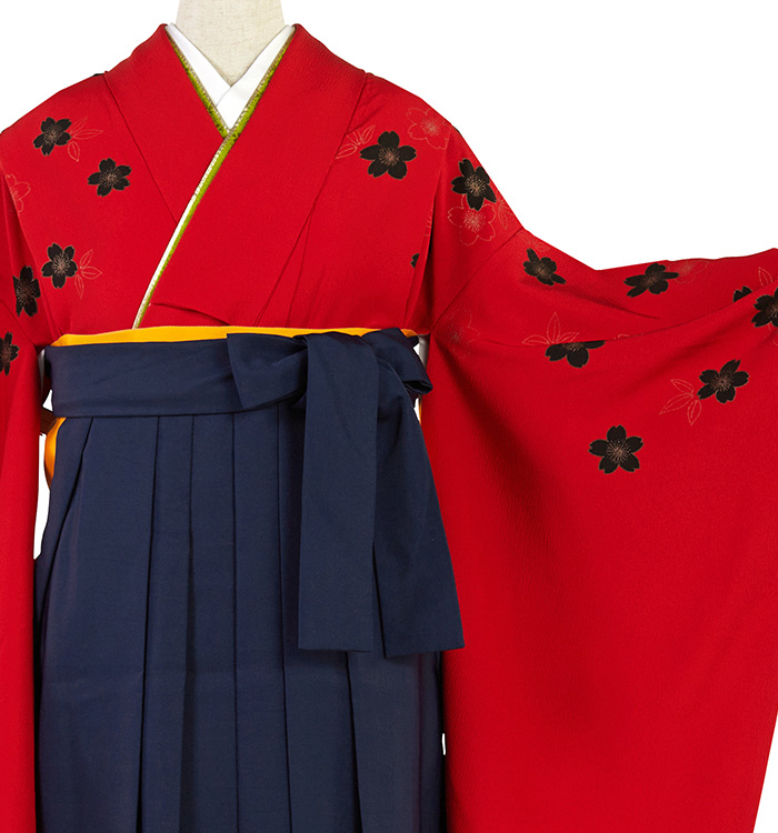 卒業袴 No.FE-2456-Sサイズ_01