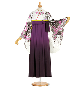 卒業袴 No.FE-2462-Lサイズ