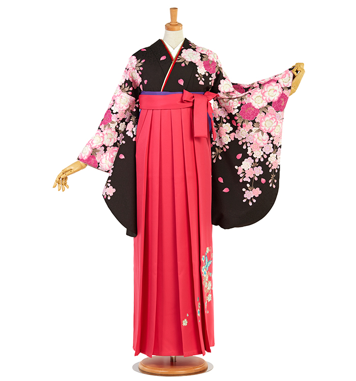 hiromichi nakano 卒業袴 No.FE-2481-3Lサイズのレンタル｜きもの365