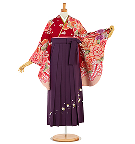 an・an 卒業袴 No.FE-2488-Mサイズ