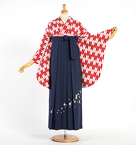 卒業袴 No.FE-2555-Lサイズ