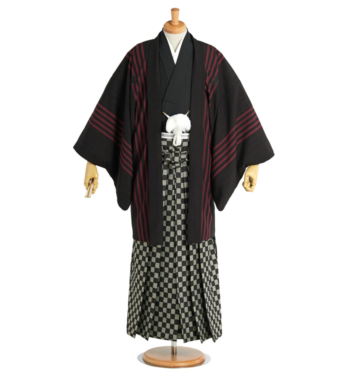 成人式卒業式袴(専用羽織紐付)No.HE-0061-Lサイズ