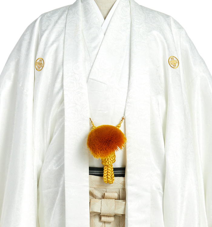 成人式卒業式袴（専用羽織紐付）No.HE-0075-3Lサイズ_01