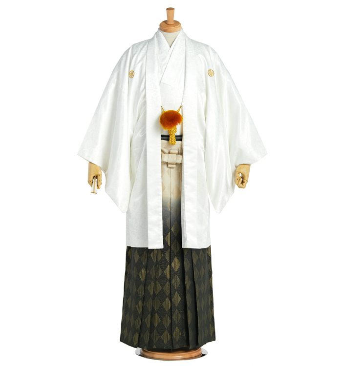 成人式卒業式袴（専用羽織紐付）No.HE-0075-3Lサイズ