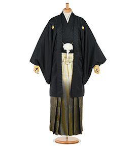 HE-0097-torusoA3.jpg HE-0097-torusoA3.jpg