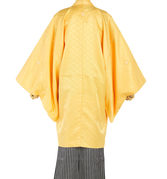 紋付袴 No.HE-0099-4Lサイズ_02