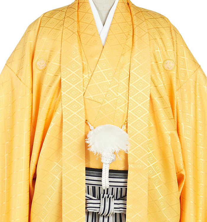 紋付袴 No.HE-0099-4Lサイズ_01