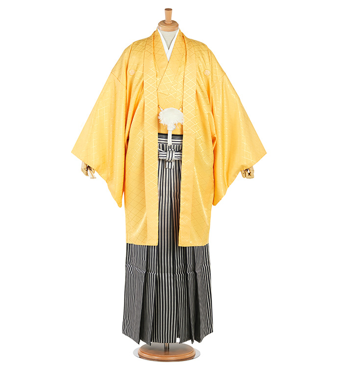 紋付袴 No.HE-0099-4Lサイズ