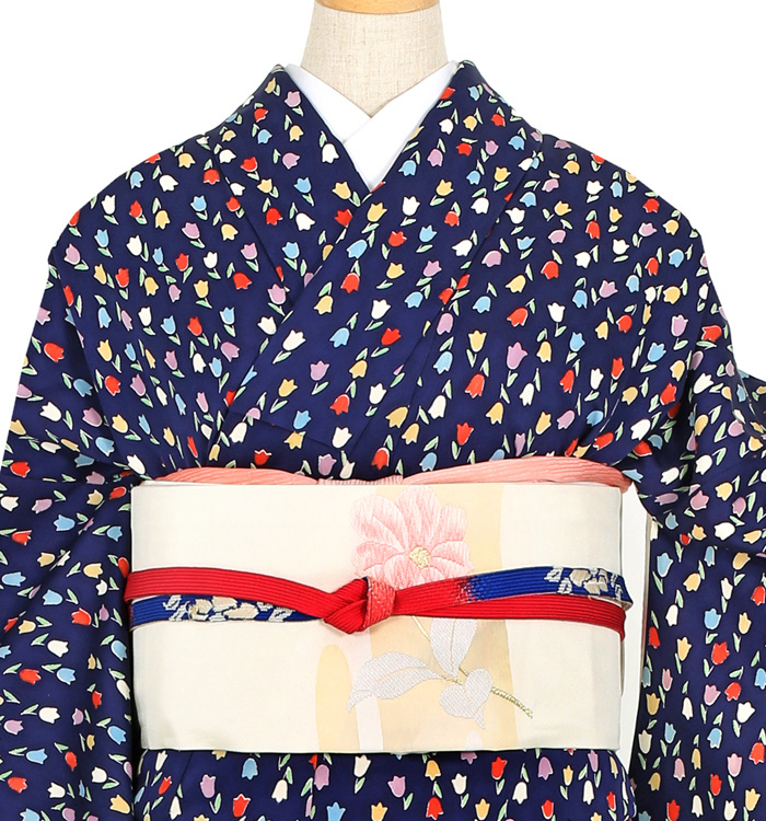 小紋 No.IA-0065-Mサイズ_01