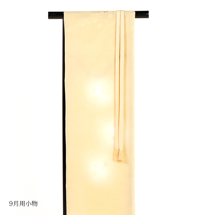 大久保玄才 単衣小紋 No.IC-0070-Mサイズ_10