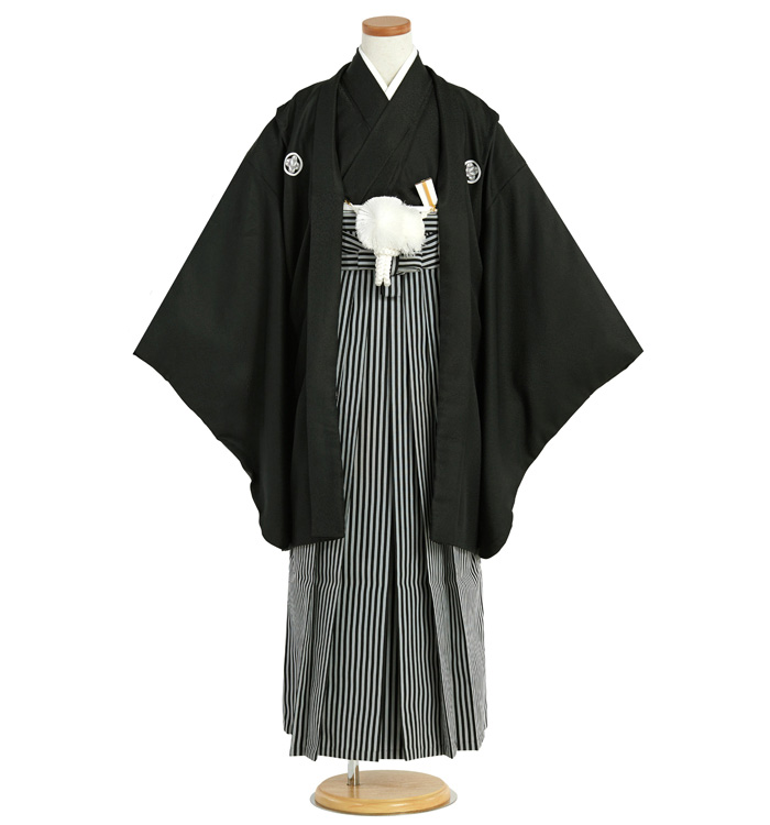 袴セットLサイズ155cm〜160cm向け