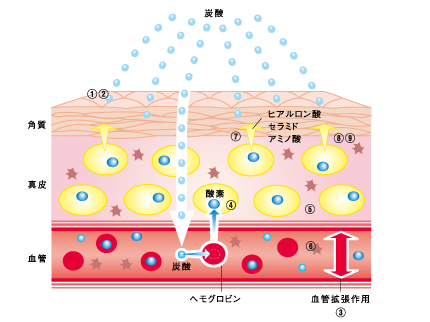 mechanism