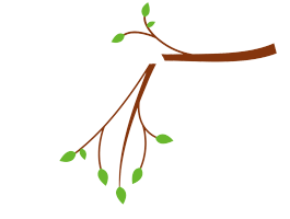 ［枝が］折れます