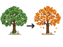 ［色が］変わります