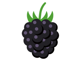 ブラックベリー