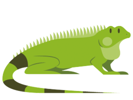 イグアナ