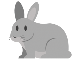 うさぎ